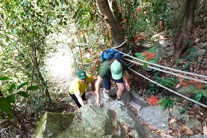 Rayong Adventure Full day Trip from Pattaya Tour - Tung Prong Thong and the golden mangrove walk