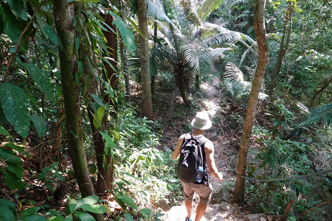 Rayong Adventure Full day Trip from Pattaya Tour - Weather, timing, and the best expectations