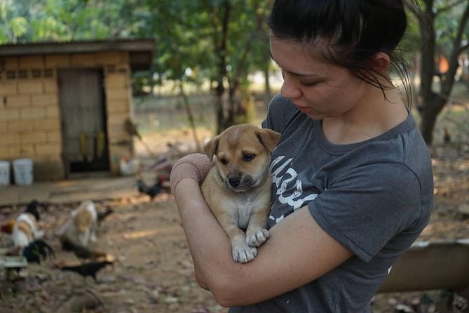 Rescue P.A.W.S. Day Visit - Cats, Puppies, and Adoption Stories at 3 p.m.