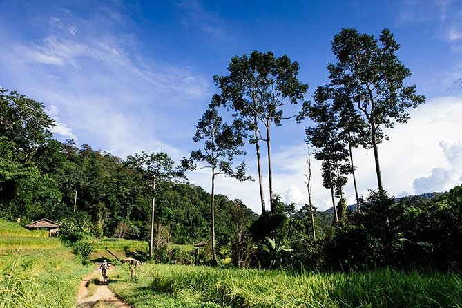 Rural Explorer Mountain Biking Tour Chiang Mai - Leaving Chiang Mai at 8:30 a.m.