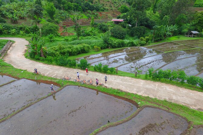 Rural Explorer Mountain Biking Tour Chiang Mai - Lunch, fruit, and drinks keep the day moving
