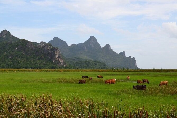 Sam Roi Yod National Park & Praya Nakhon Cave Private Tour from Hua Hin - Inside the cave and beneath the roof opening