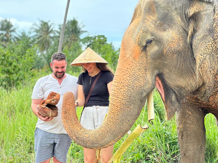 Samui:Elephant Jungle experience & The First Elephant Museum - Why this Samui elephant experience feels different