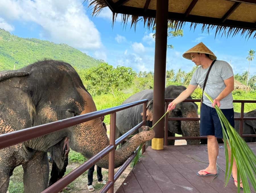 Samui:Elephant Jungle experience & The First Elephant Museum - Food demonstrations explain everyday elephant care