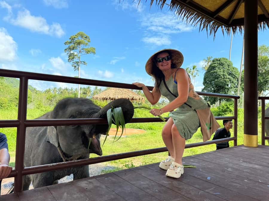Samui:Elephant Jungle experience & The First Elephant Museum - Making seed bombs for the forest