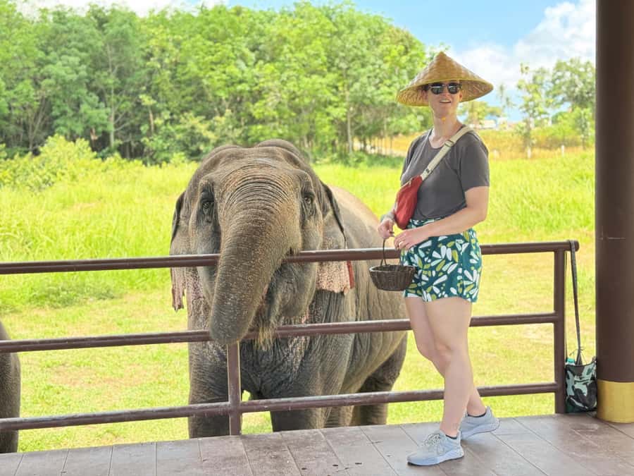 Samui:Elephant Jungle experience & The First Elephant Museum - Pickup, timing, and comfort tips