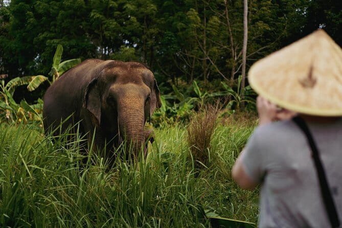 Samui Elephant Kingdom Ethical Sanctuary and Skywalk Tour - Is it suitable for children and different types of visitors?