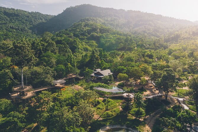 Samui Elephant Kingdom Ethical Sanctuary and Skywalk Tour - What happens during the three-hour visit