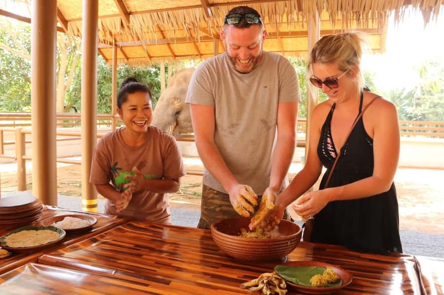 Samui: Elephant Nutrition and Care Education Experience - Key points to know before you book