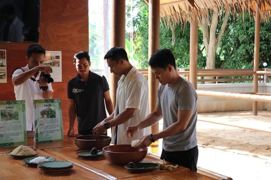 Samui: Elephant Nutrition and Care Education Experience - What is not included, and why that can be a good sign