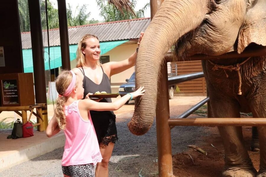 Samui: Elephant Nutrition and Care Education Experience - Is $32 good value?