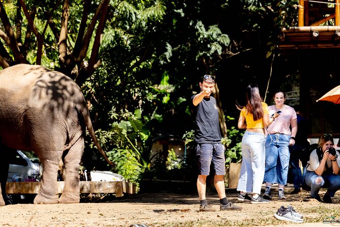 Scooter Adventure with elephants, views and FUN drive yourself - Viewpoints, caves, a waterfall, and a temple