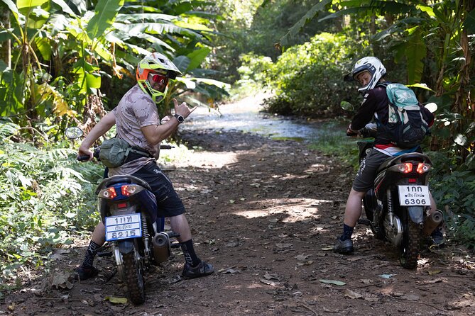Scooter Adventure with elephants, views and FUN drive yourself - One hour with elephants at Elephant Fun Farm