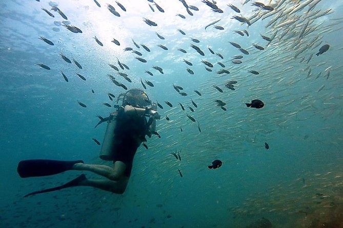 Scuba Diving Day Trip at Koh Chang – 2 Dives - Key points to know before you book
