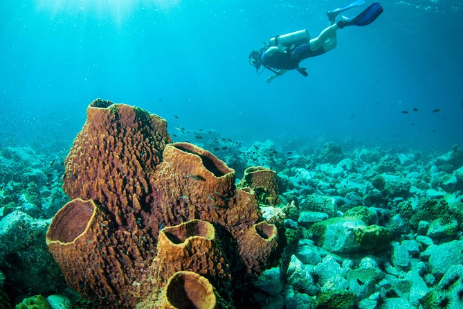 Scuba Diving Day Trip at Koh Chang – 2 Dives - Starting at BB Divers at 8:00 a.m.