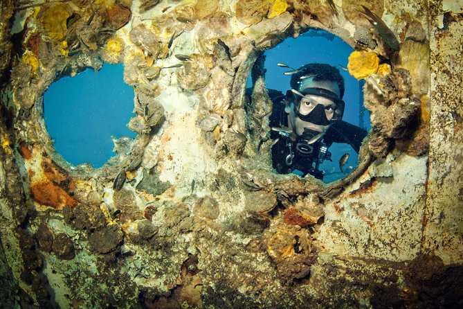 Scuba Diving Day Trip at Koh Chang – 2 Dives - Is $130.39 good value for Koh Chang?