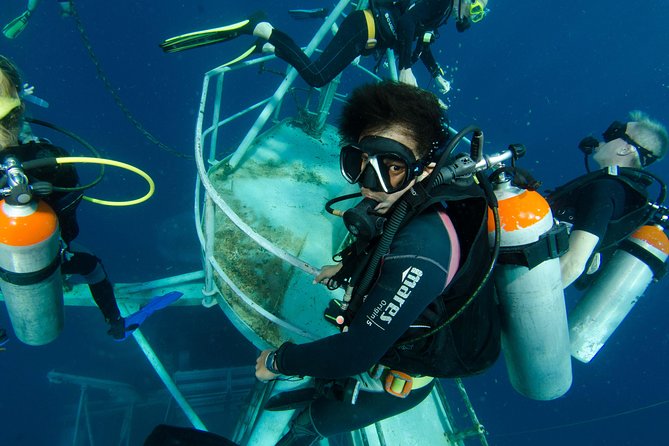 Scuba Diving Day Trip at Koh Chang – 2 Dives - What the HTMS Chang wreck day is like