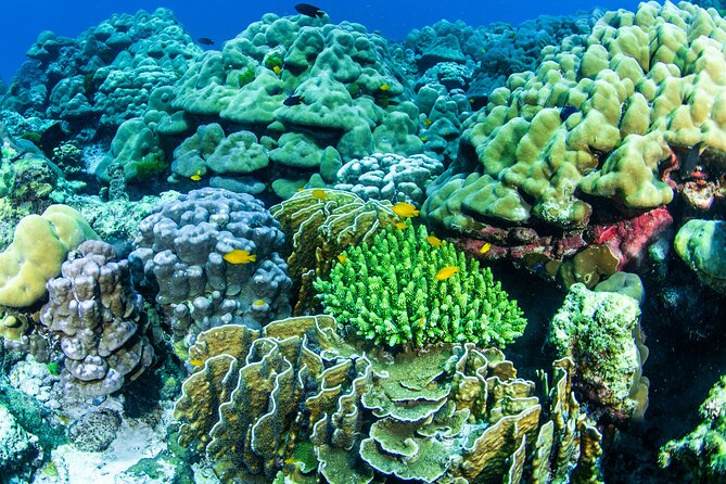 Scuba Diving Daytrip to Racha Yai - Breakfast, equipment, and the morning briefing