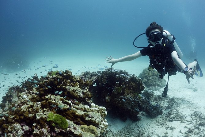 Scuba Diving in Phuket – Full-Day Trip (3 Dives, All Included) - Phuket Marine Park and the value of three sites
