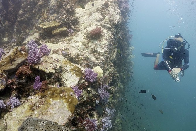 Scuba Diving in Phuket – Full-Day Trip (3 Dives, All Included) - Breakfast, boat comfort, and the rhythm of the day