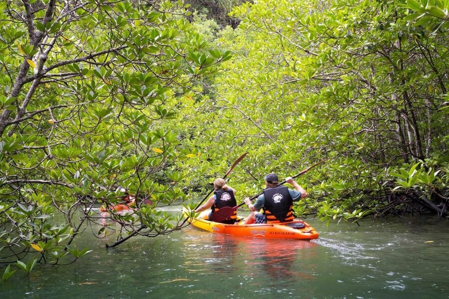 Sea Kayaking in Ao Thalane & Optional Full-Day Hong Island - Key points before you book