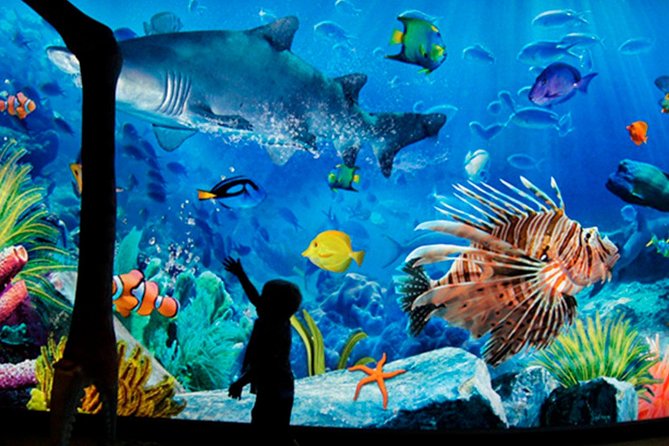 Sea Life Bangkok Ocean World Tickets - Key points before you book