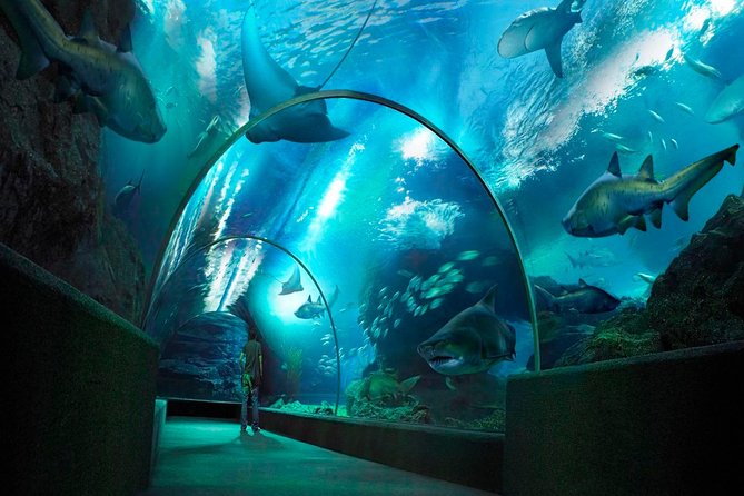 Sea Life Bangkok Ocean World Tickets - Finding an ocean inside Siam Paragon
