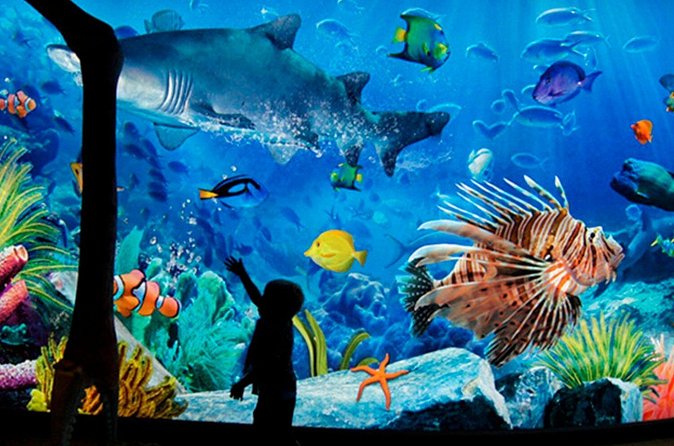 Sea Life Bangkok Ocean World Tickets - Madame Tussauds adds value, but only if you use it