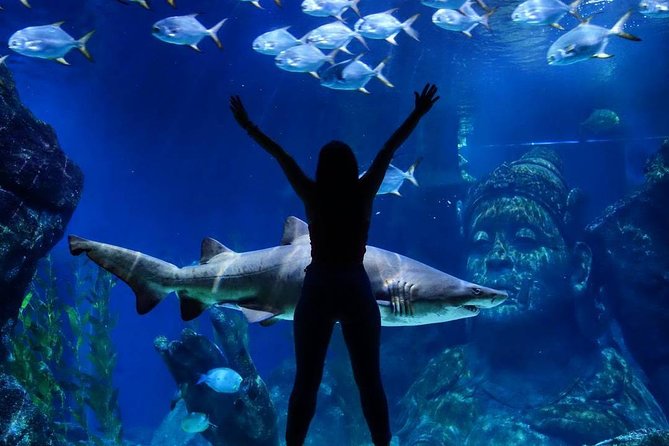 Sea Life Bangkok Ocean World Tickets - What the $44 price really buys you
