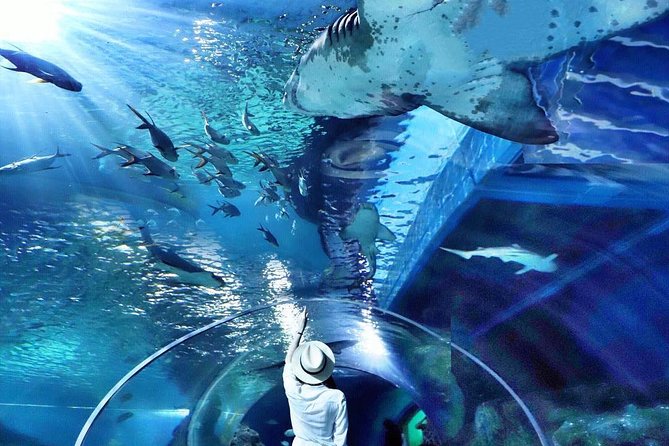 Sea Life Bangkok Ocean World Tickets - A practical three-hour plan