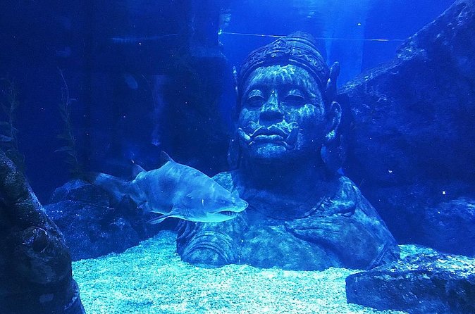 Sea Life Bangkok Ocean World Tickets - How to handle cancellation and booking timing