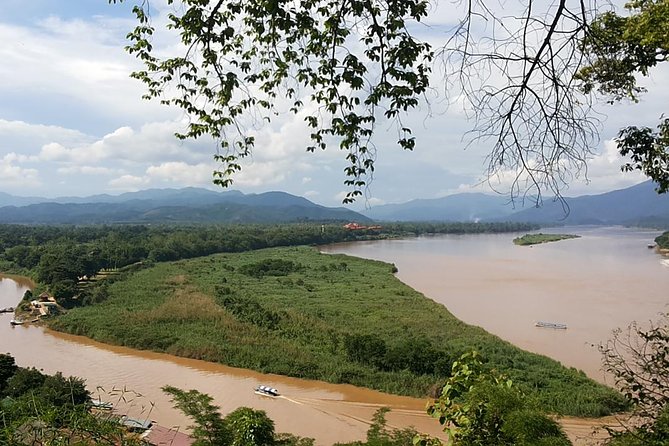 Sightseeing Join Tour Chiang Rai / PICK UP ONLY IN CHIANG RAI - Choui Fong Tea and a welcome mountain break