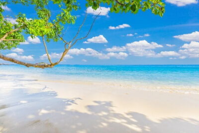 Similan Islands Full Day – Premium