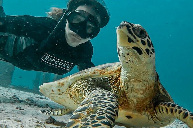 Similan Islands Private Tour - Check-In at 5 Star Marine