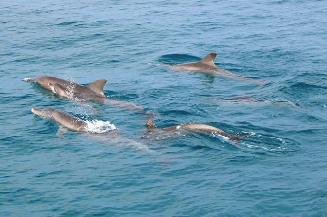 Similan Islands Snorkeling Tour By Speed Catamaran From Khao Lak - Climbing Sailing Rock for the big view
