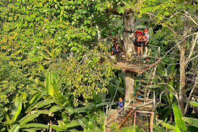 Sky Hawk Zipline Experience in Chiang Mai