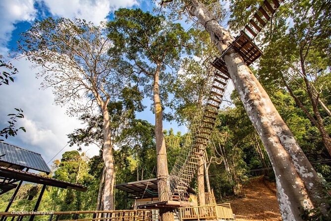 Sky Hawk Zipline Experience in Chiang Mai - Who will enjoy Sky Hawk most?