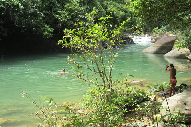 Small-Group Full-Day Khao Sok Nature Tour From Khao Lak - Walking through Khao Sok for two to three hours