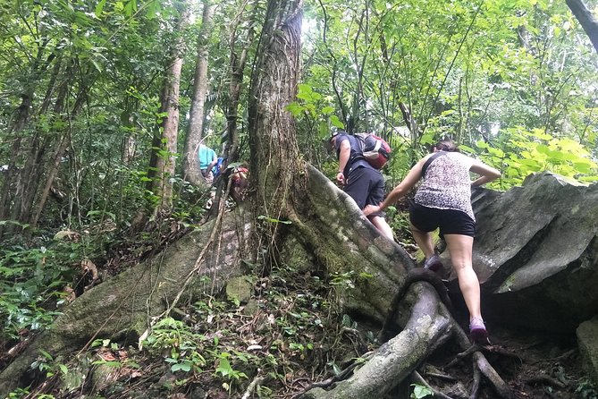 Small-Group Jungle Hiking Excursion in Khao Phra Teaw Park - Why this rainforest trip is different from Phuket’s usual excursions
