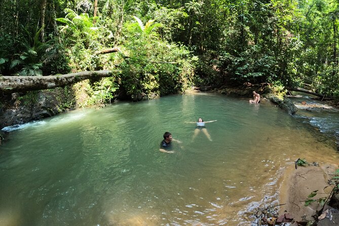 Small-Group Jungle Hiking Excursion in Khao Phra Teaw Park - The trail to Bang Pae Waterfall