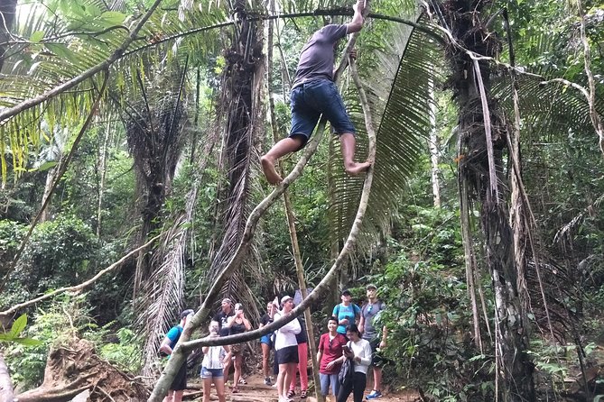 Small-Group Jungle Hiking Excursion in Khao Phra Teaw Park - Thai lunch at a local restaurant