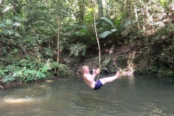 Small-Group Jungle Hiking Excursion in Khao Phra Teaw Park - Is $78.23 good value?
