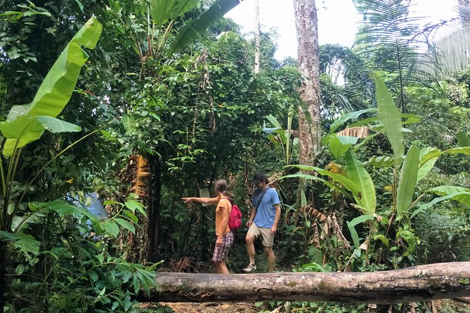 Small-Group Jungle Hiking Excursion in Khao Phra Teaw Park - Hotel pickup and the 9:00 a.m. start