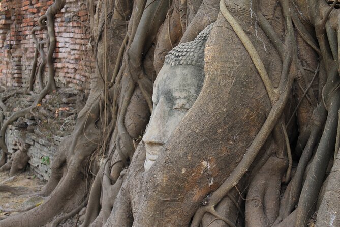 Small Group Tour to Ayutthaya Temples from Bangkok with Lunch - Wat Mahathat and Ayutthaya’s famous Buddha head