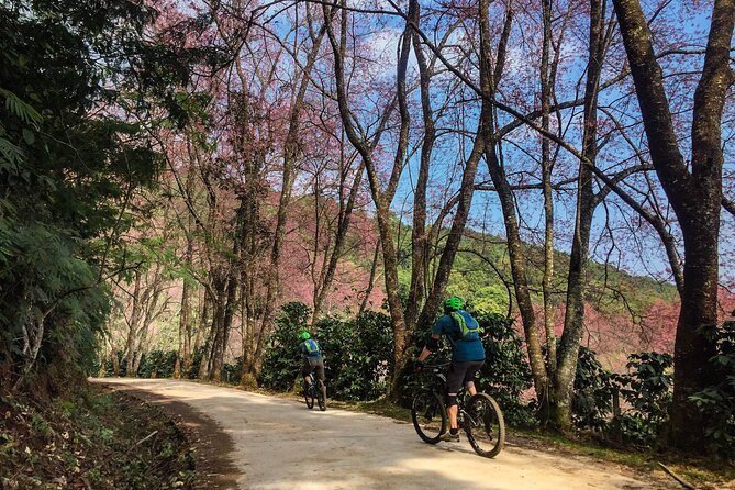 Smoke on the Water Trail Mountain Biking Tour Chiang Mai - Lunch, drinks, and the value of the $114.03 price