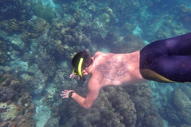 Snorkel Adventure Sea Tour to Koh Rok and Koh Haa from Koh Lanta - Koh Rok Nai lunch and the long beach break