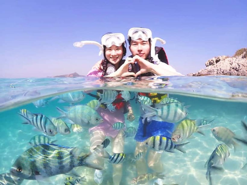 Snorkel & Chill: Nemo Island Trip from Pattaya - Key Things To Know Before You Go