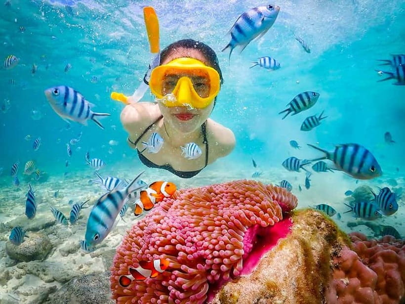 Snorkel & Chill: Nemo Island Trip from Pattaya - From Pattaya Hotel Lobby to Sattahip Pier