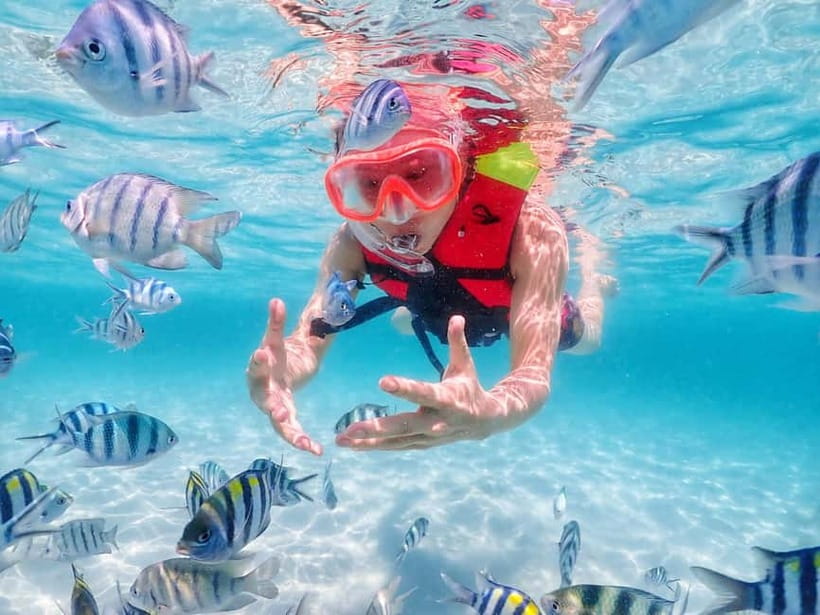 Snorkel & Chill: Nemo Island Trip from Pattaya - Safety, Gear, and Comfort in the Water