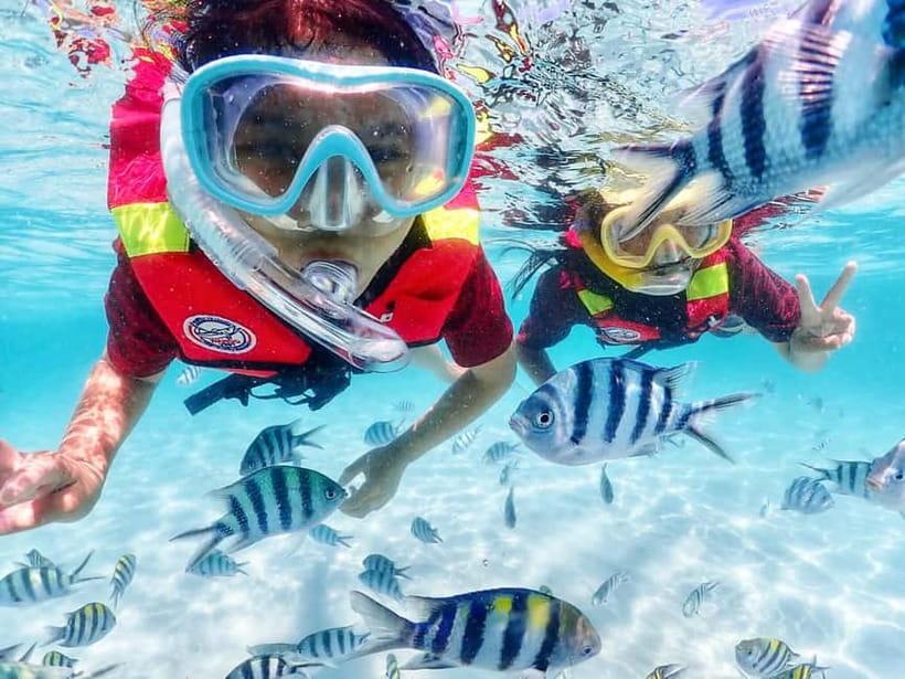 Snorkel & Chill: Nemo Island Trip from Pattaya - Is $41 Good Value?